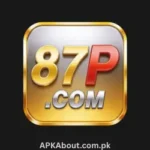87P Game