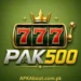 PAK500 Game