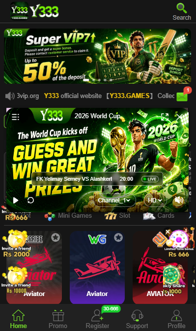 Y333 Game