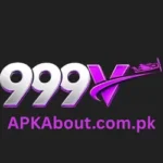 999V Game