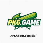 pk6 game